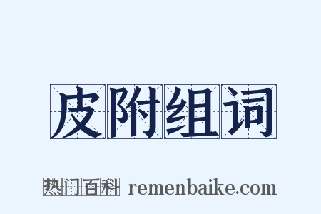 皮附组词是什么意思的图片